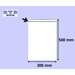 SACHET PLAT 300 x 500 mm PE 25 microns le 1000