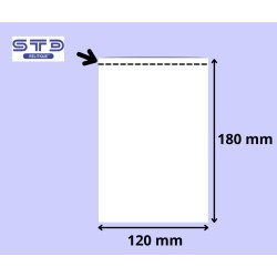 SACHET PLAT 120 x 180 mm PE 50 microns les 4000