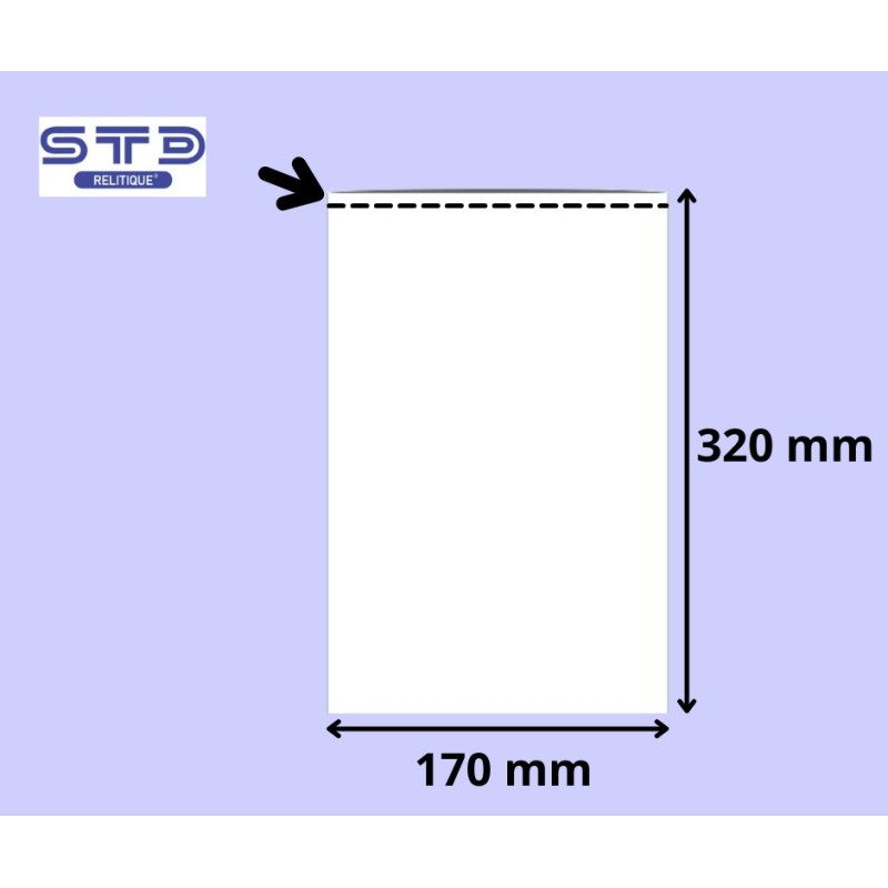 SACHET PLAT 170 x 320 mm PE 50 microns les 500