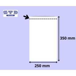 SACHET PLAT 250 x 350 mm PE 50 microns les 2000