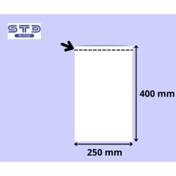 SACHET PLAT 250 x 400 mm PE 50 microns les 2000