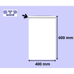 SACHET PLAT 400 x 600 mm PE 50 microns le 1000