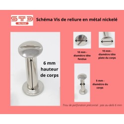 VIS NICKELEE A RELIURE 6 MM PAR 100