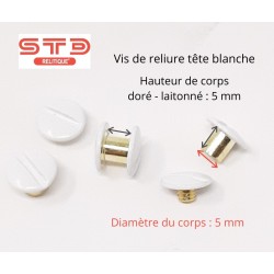 VIS LAITONNEE A TETE BLANCHE 5 MM POUR RELIURE PAR 10