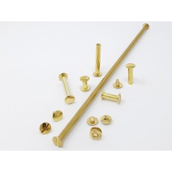 VIS DE RELIURE LAITONNEE 110 MM PAR 100