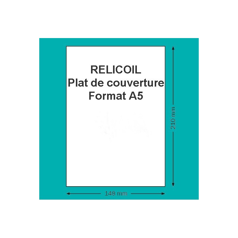 Feuilles de plastique transparent type Mica - A4