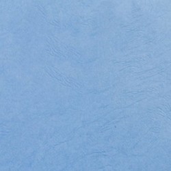 Couverture grain cuir bleu clair  250G A4/A3