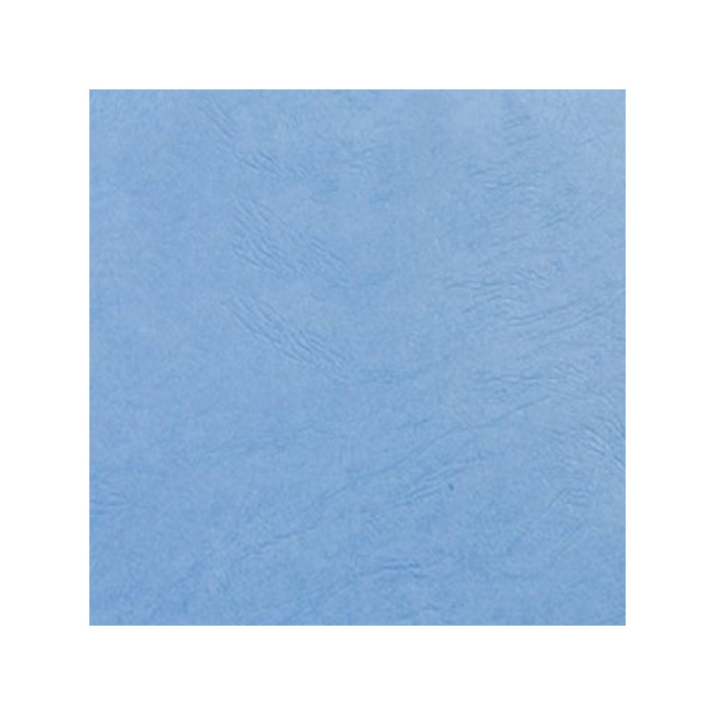 Couverture grain cuir bleu clair  250G A4/A3