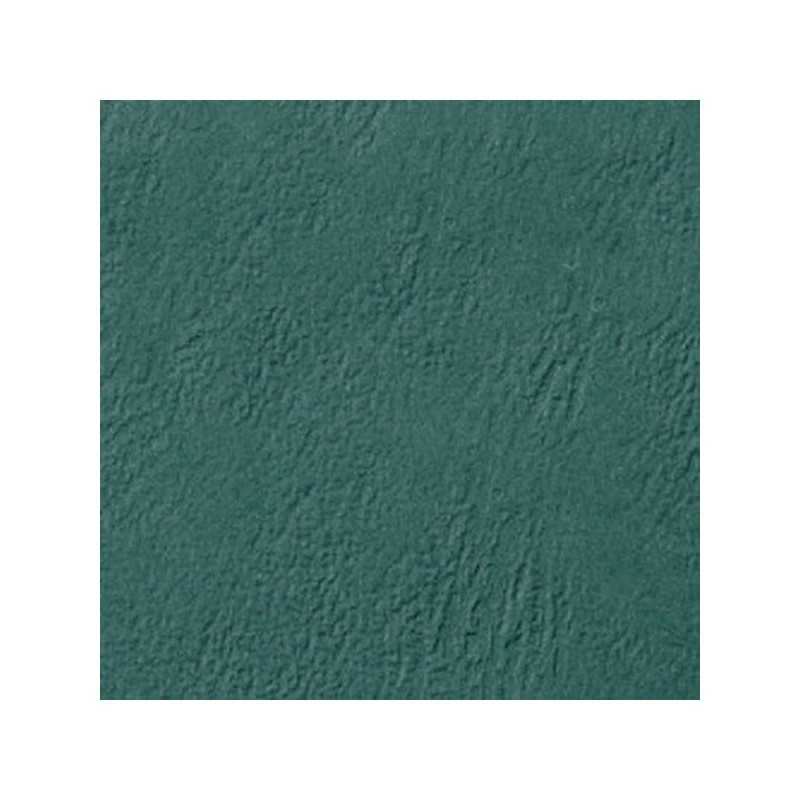 Couverture grain cuir vert  250G A4/A3